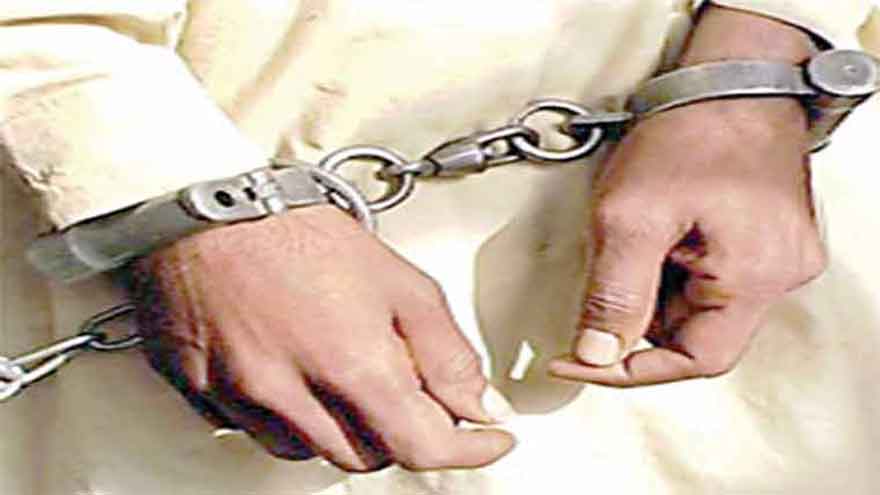 Farmer arrested for cutting buffalo's legs in Ahmedpur Sharqia