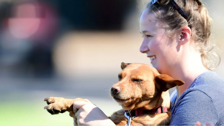 امریکا: پالتو کتا 10 برس بعد اپنے مالکان سے مل گیا