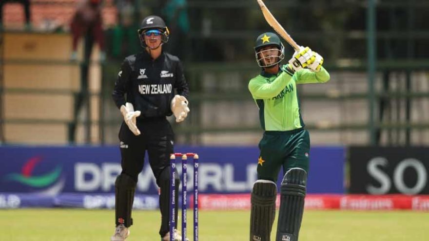 Pakistan thrash New Zealand by eight wickets in U19 World Cup Super Six clash