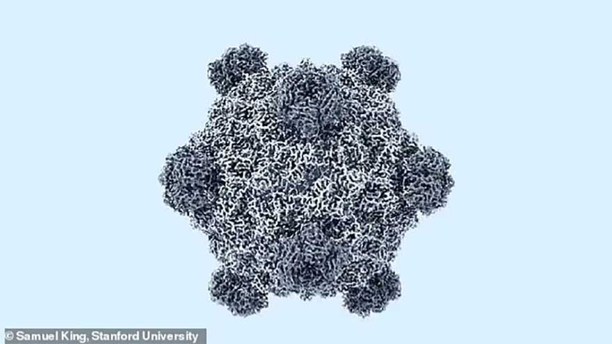 Scientists use AI to create a virus never seen before