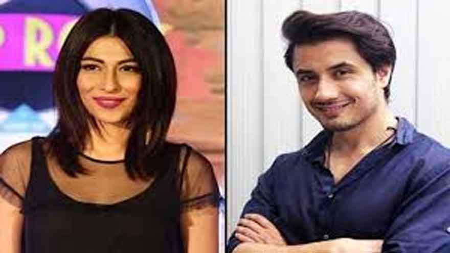 LHC orders speedy trial in Ali Zafar-Meesha Shafi defamation case