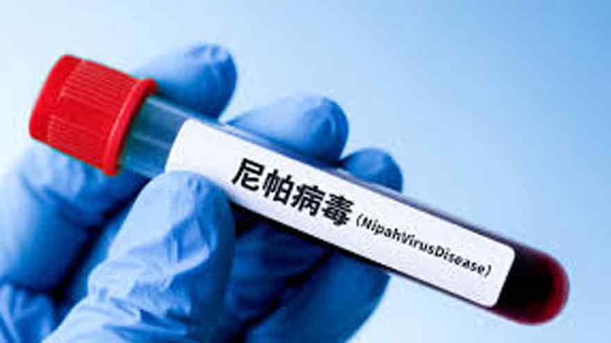 No case of Nipah virus disease detected in China so far, authorities says