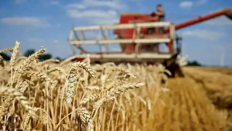 اقتصادی رابطہ کمیٹی نے 5 لاکھ میٹرک ٹن گندم کی نیلامی کی منظوری دیدی