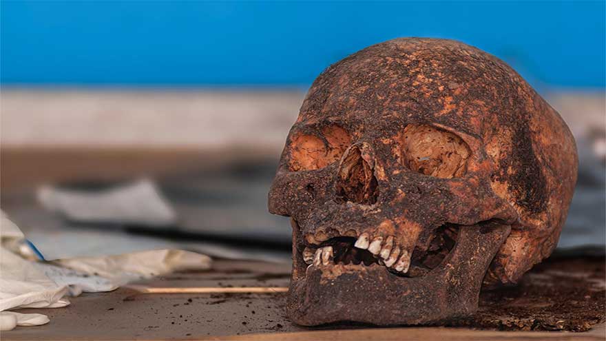 Ancient teeth are treasure troves of Iron Age secrets