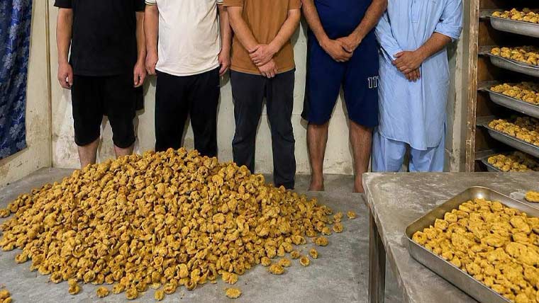 ہیومن پلیسینٹا کیس: ایف آئی اے کی تحقیقات میں نئے انکشافات