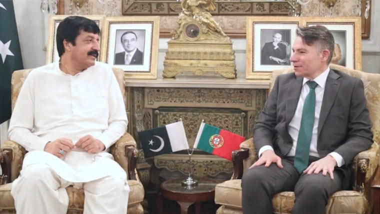 پاکستان پُرامن ملک، سرمایہ کاری کے وسیع امکانات موجود ہیں: گورنر پنجاب