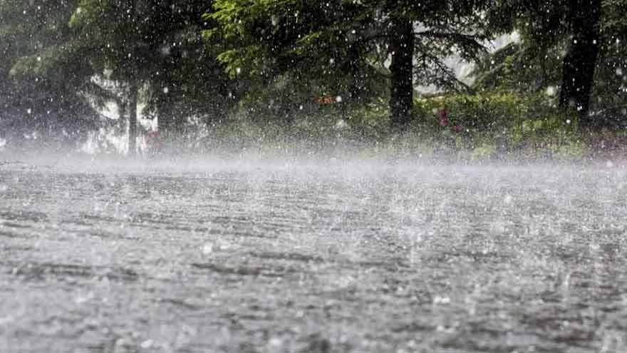 Rain, strong winds bring relief from heat across Punjab