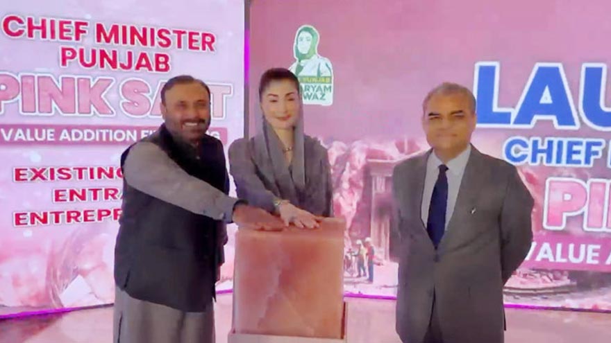 Punjab launches pink salt value addition financing scheme, announces processing zone