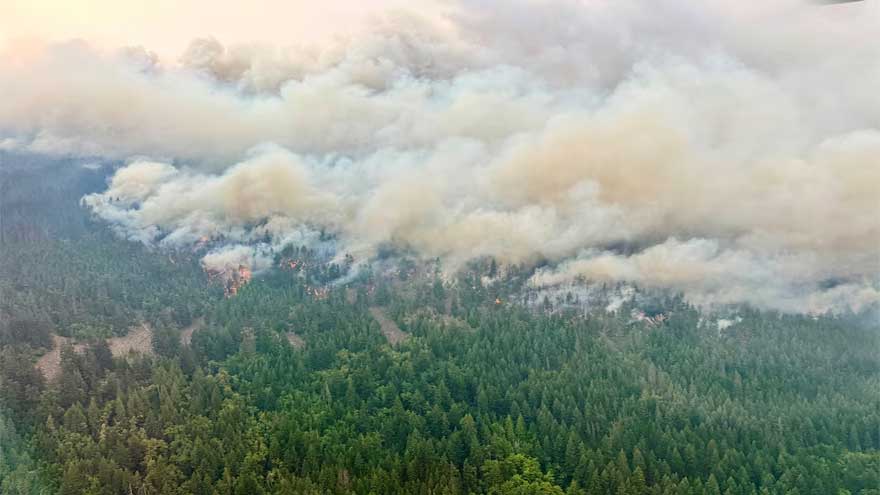 Ontario premier says Trump's criticism of Canada's efforts to stop wildfires is 'absolutely unacceptable'