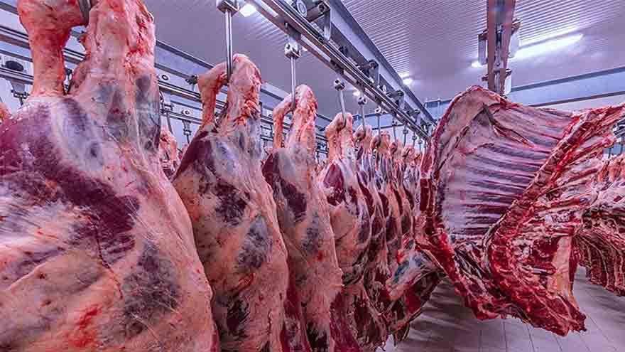 Pakistan to enhance cooperation with China in livestock