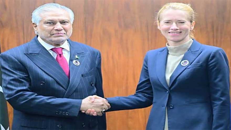 Dar meets EU foreign policy chief, discusses regional situation