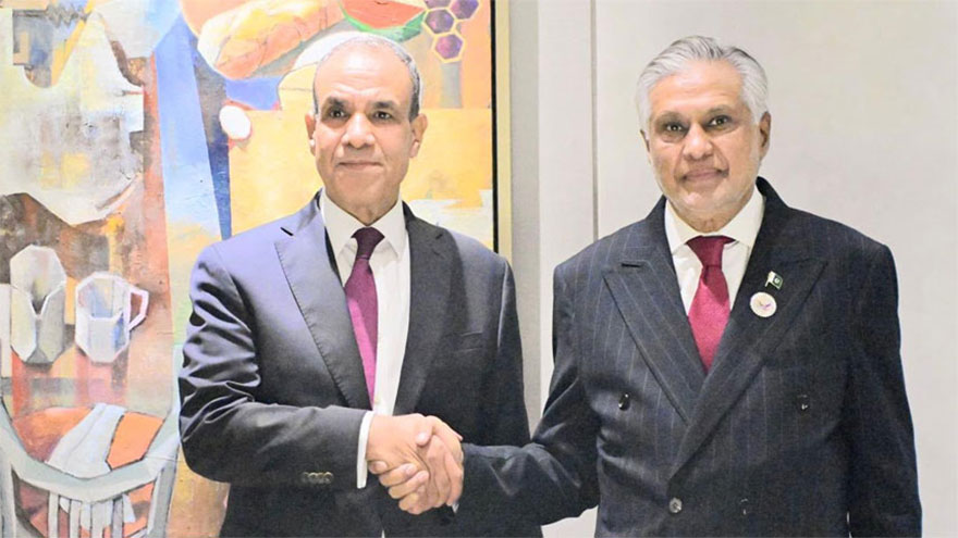 Ishaq Dar, Egypt's FM discuss situation in Palestine