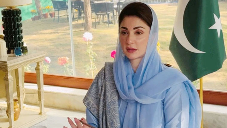 ہیپاٹائٹس کے خاتمے کیلئے سب کو مل کر کردار ادا کرنا ہوگا: مریم نواز
