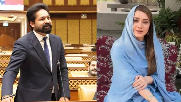 مومنہ اقبال ہراسگی کیس: ثاقب چدھڑ اور اہلیہ کی عبوری ضمانت میں توسیع