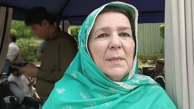 نورین نیازی کے خلاف پیکا اور تعزیراتِ پاکستان کے تحت مقدمہ درج