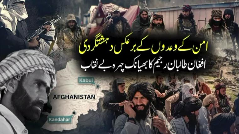 امن کے وعدوں کے برعکس دہشتگردی، افغان طالبان رجیم کا بھیانک چہرہ بے نقاب