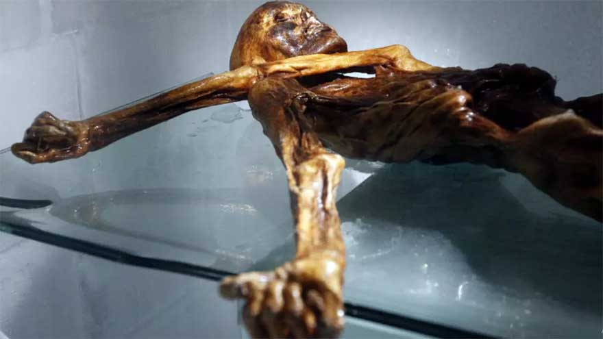 Scientists find yeast in ancient Iceman's guts - and make bread