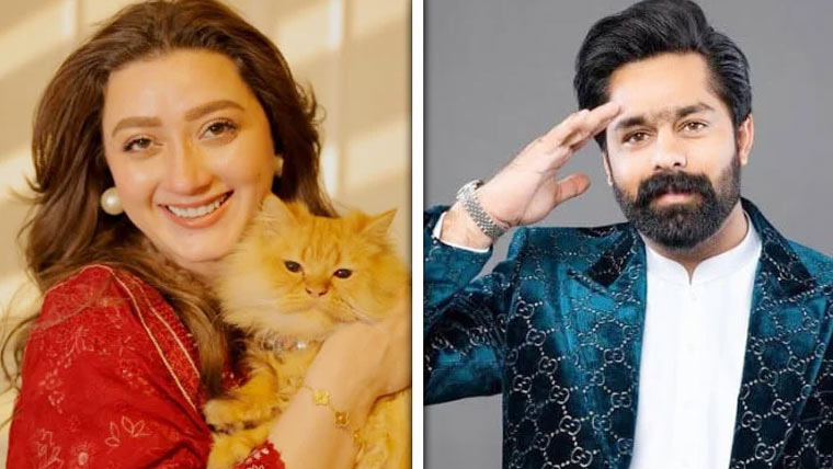 ثاقب چدھڑ پر مومنہ کو ہراساں کرنے کا مقدمہ درج، عبوری ضمانت منظور