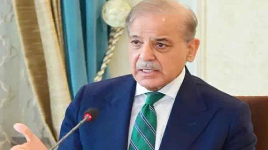 PM Shebhaz forms eight-member committee to establish commercial courts