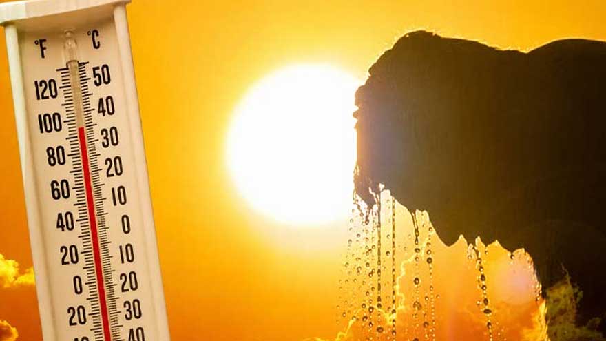Pakistan braced for heatwave as temperatures expected to soar up to 48C