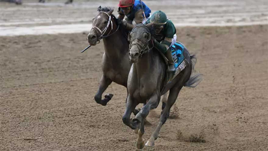 Kentucky Derby-winner Golden Tempo wins 158th Belmont Stakes