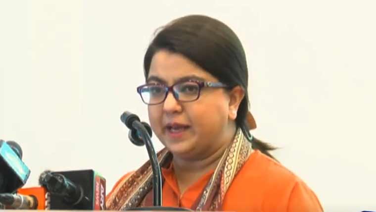 ہمارے نوجوان باصلاحیت، فری لانسنگ و دیگر پلیٹ فارمز سے روزگار کما رہے: شزہ فاطمہ
