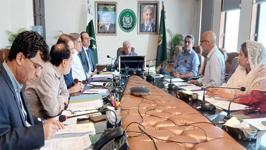 No leniency for Illegal wheat trade, bogus seed firms: Rana Tanveer