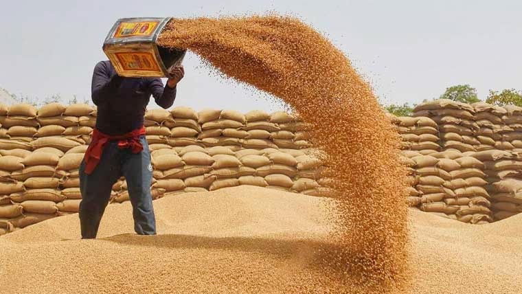 ای سی سی نے خیبرپختونخوا کو گندم کی فراہمی کی منظوری دے دی