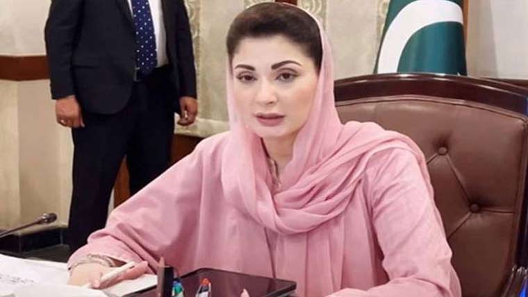البینزم سے متاثرہ افراد کے لیے محبت اور احترام کا دائرہ وسیع کرنا ہوگا،مریم نواز