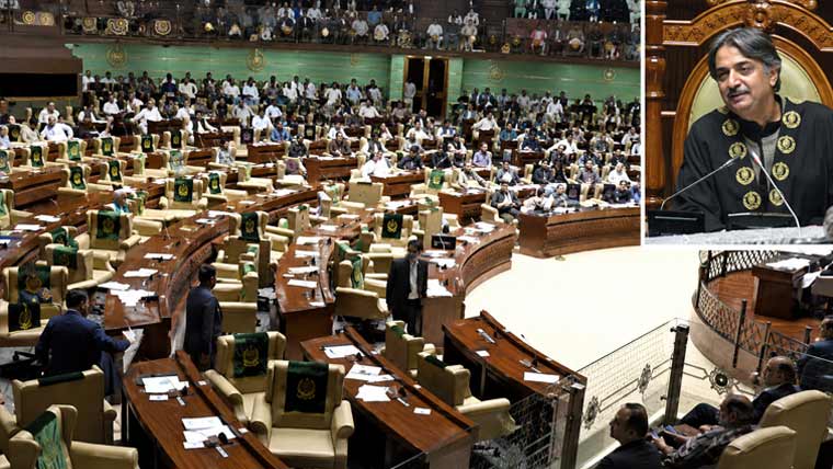 سندھ اسمبلی میں بجٹ  پیش کرنے کے دوران اپوزیشن کا شور شرابہ، تقریر روکنا پڑی