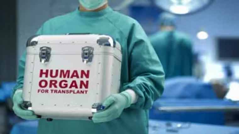 قصور میں گردے کی مبینہ غیر قانونی پیوندکاری پر8 افراد کے خلاف مقدمہ درج
