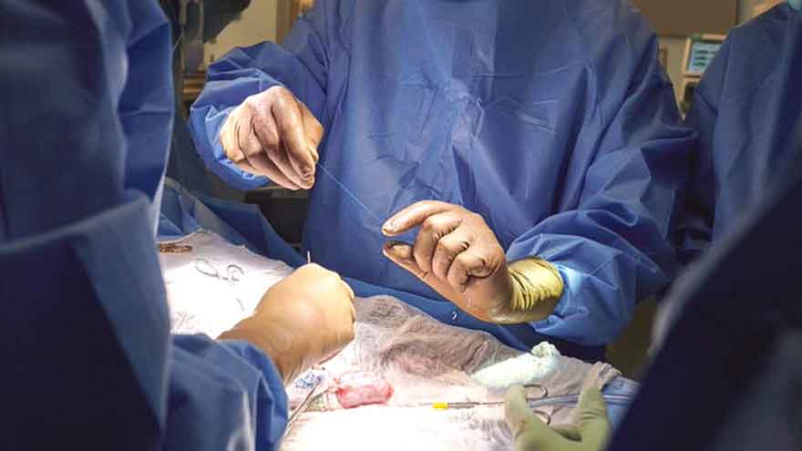 Four suspects arrrested in illegal kidney transplant case 