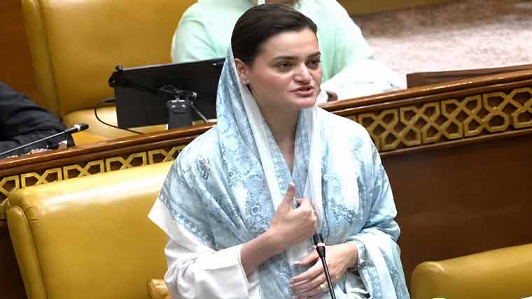  ترقیاتی منصوبوں، محرم سکیورٹی پر حکومتی اقدام قابلِ تعریف ہے: مریم اورنگزیب