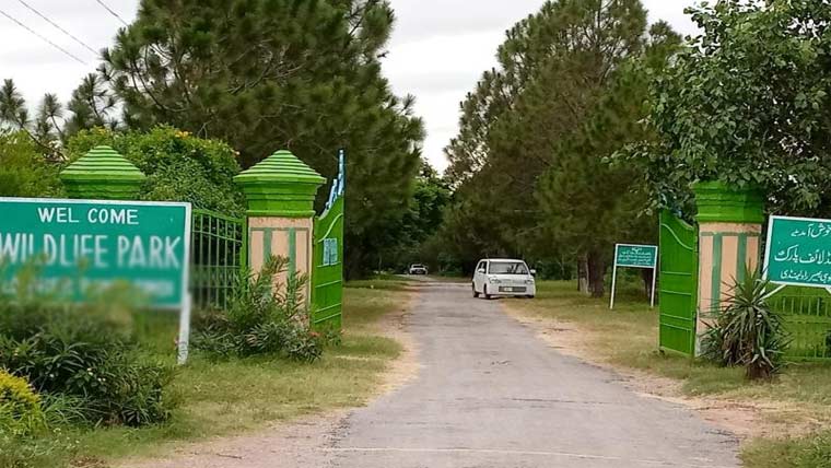 اسلام آباد میں پہلا ورلڈ کلاس وائلڈ لائف سفاری پارک بنانے کا فیصلہ