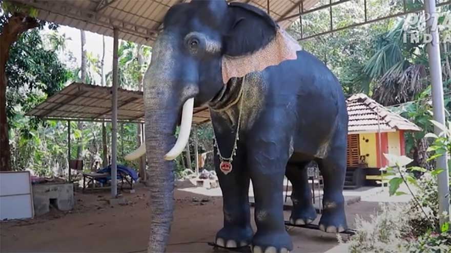 Teenage girl killed in 'sudden' elephant attack in India