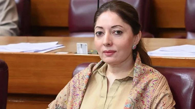 پٹرول کی قیمتوں نے عوام سے عید کی خوشیاں چھین لیں: شرمیلا فاروقی