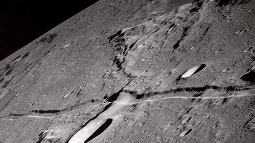 Chickpeas successfully grown, harvested in simulated moon dirt