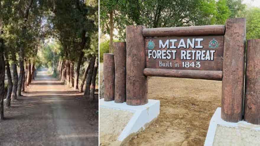 Miani Forest: A living legacy of Sindh's history and natural beauty