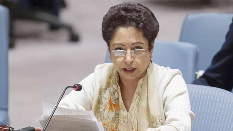 امریکا کی ٹیکنالوجی ایران کے ڈرونز کو ہی ختم نہیں کر سکی: ڈاکٹر ملیحہ لودھی