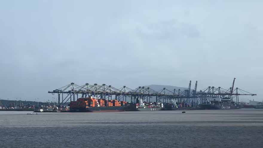 India to hold off on US trade deal amid new probe, sources say