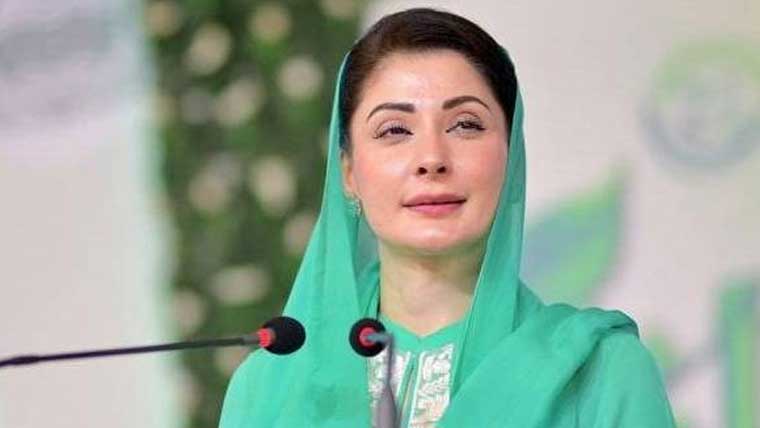 جنگلات ہمارے ماحول، معیشت اور شہریوں کیلئے لائف لائن ہے: مریم نواز