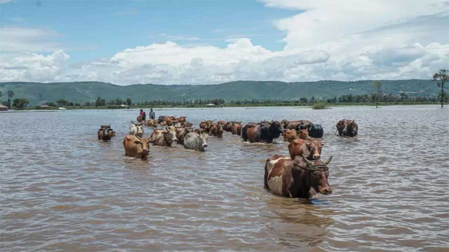 Torrential rains in Kenya kill 81 in March: officials