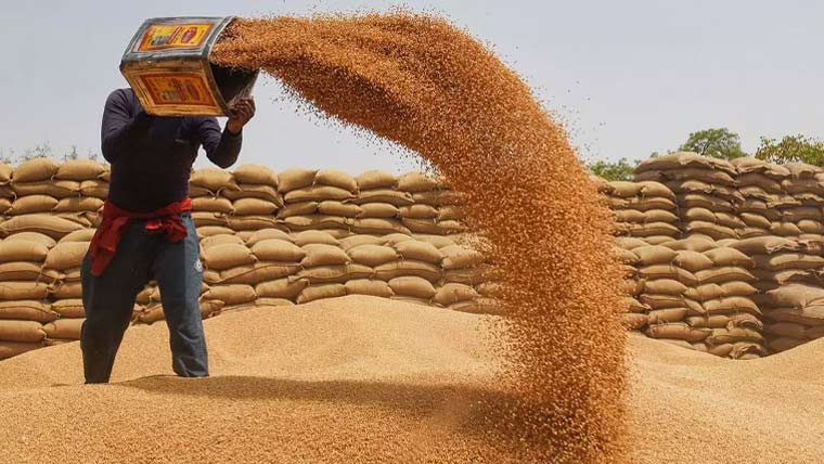 پنجاب حکومت کی گندم خریداری مہم کی تیاریاں مکمل