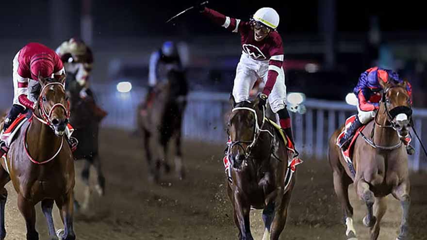 $12M Dubai Gold Cup goes to Magnitude in stunning finish