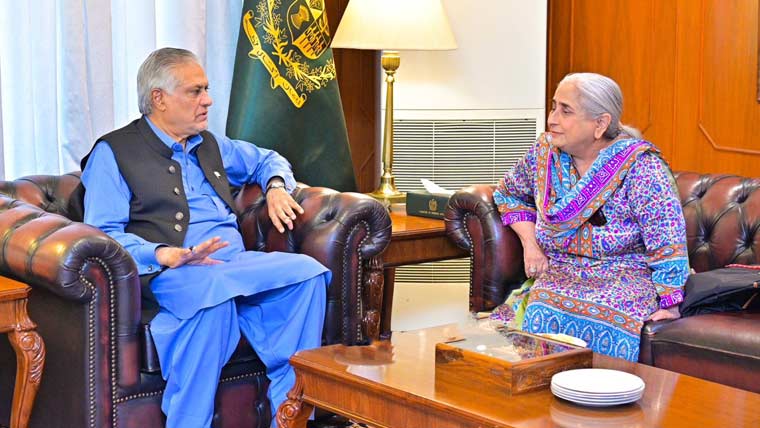 اسحاق ڈار سے وزیر صحت سندھ کی ملاقات، مختلف امور پر تبادلہ خیال