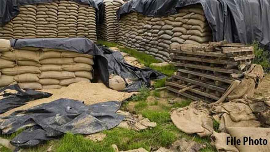 Flour prices surge in KP amid interprovincial supply disruptions from Punjab