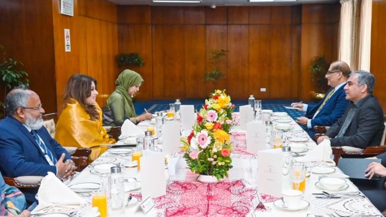 محسن نقوی کی بنگلہ دیشی وزیر مملکت برائے خارجہ امور سے ملاقات، تجارتی و ثقافتی تعاون بڑھانے پر اتفاق