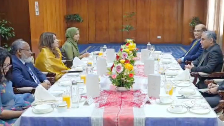محسن نقوی کی بنگلہ دیشی وزیر مملکت برائے خارجہ امور سے ملاقات، تجارتی و ثقافتی تعاون بڑھانے پر اتفاق