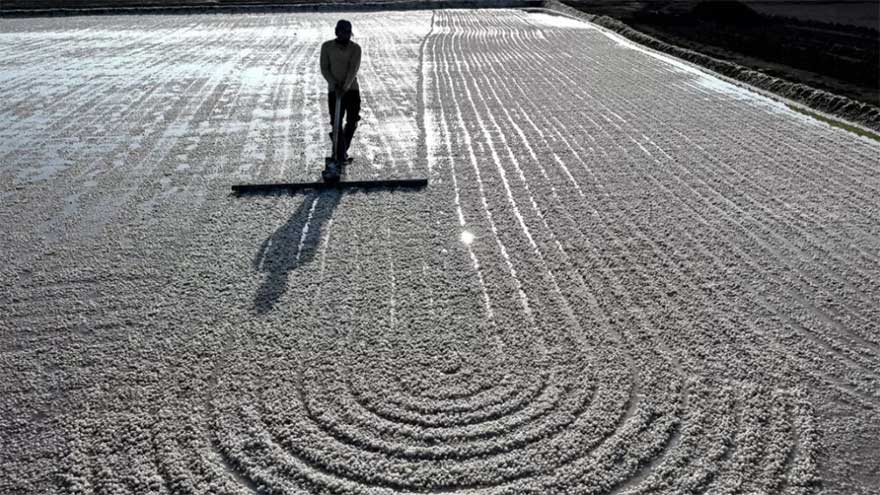 No trees, no fans: surviving extreme heat in India's salt pans