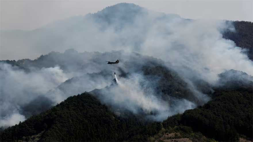Global fire outbreaks hit record high as 'unprecedented' heat extremes loom, scientists say